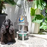 Helios דיאנו מרינה